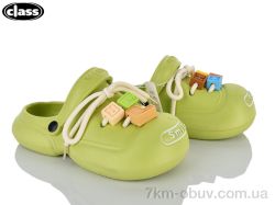Wei Wei-Class 8308 green фото
