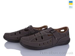 Paolla Sunshine Л10 шоколад фото