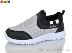 Sharif 11006-2 фото