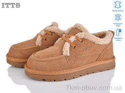 ITTS HY078-20 фото