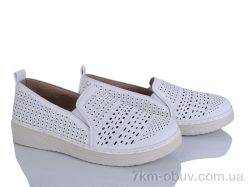 Lion-Lu 2024-32 фото