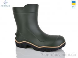 Acorus LT зелений фото