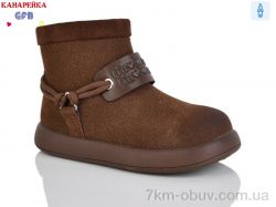 GFB-Канарейка S255-5 фото