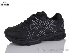 Башили H6501-2 фото