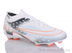 ASHIGULI 278D фото