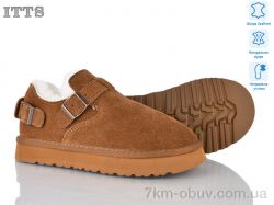 ITTS Q302-45 фото