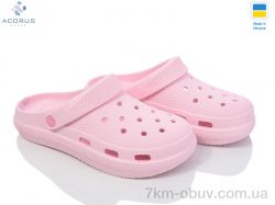 Acorus С98 рожевий фото