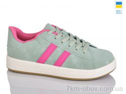 Swin 3401-8 фото