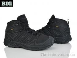 BIG A12932-1 фото