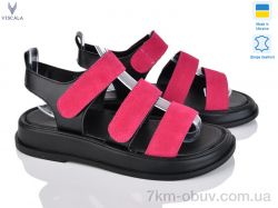 Viscala 23212 ч.ш.+мал.з. фото