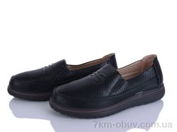 Lion-Lu 2024-38 фото