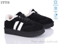 ITTS 7742-2 фото