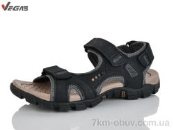 Supo-Vegas A509-2 фото