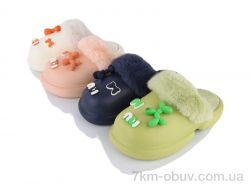 SANLIN 2 L660 mix фото