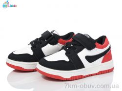 BBT H202-2-1 фото