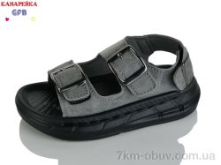 GFB-Канарейка T62-5 фото