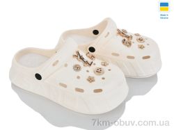 Golden Lion 156-3 шампань фото