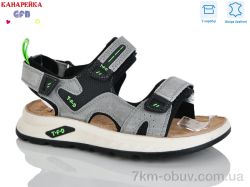 GFB-Канарейка R825-3 фото