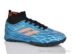 ASHIGULI 515N фото