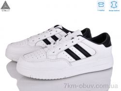 STILLI Group AD300-2 шкіра фото