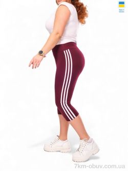 Sport style 066 бордовий фото