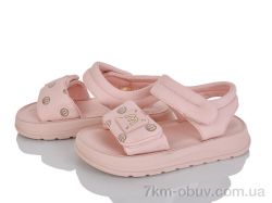 KIMBOO XD618-2F фото