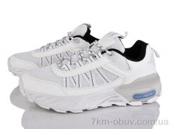 Moli B206-2 фото