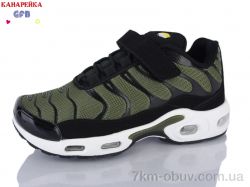 GFB-Канарейка R386-11 фото