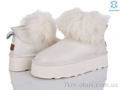 Мир 4224-5860-1 shell фото