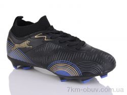 ASHIGULI 508A-1 фото