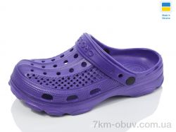 SANLIN 2 SV021 бузок фото