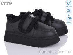 ITTS F251-A фото