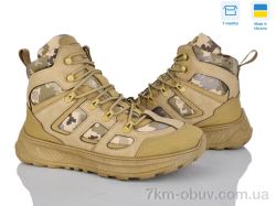 Paolla 2705 беж фото