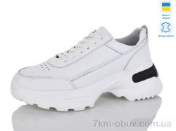 Carolina 4015-2 фото