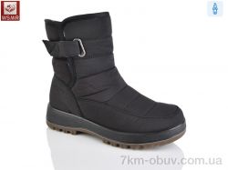 WSMR WY8029-1 фото