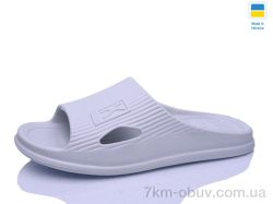 RGP 112 сірий фото