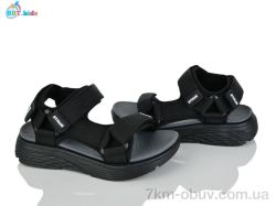 BBT L851-2-2 фото