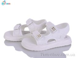 BBT L862-3-7 фото