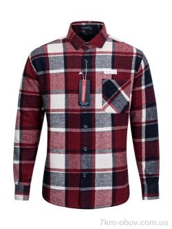 Verton W2501 bordo фото