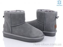 ITTS 5854-19 фото