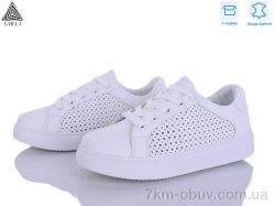 STILLI Group R130 шкіра фото