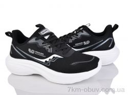 Lion-Lu A0042-1 фото