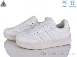 STILLI Group SD10-2 шкіра фото