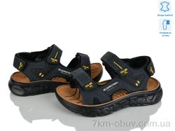 KIMBOO T611-2B фото