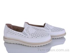 Lion-Lu 2024-62 фото