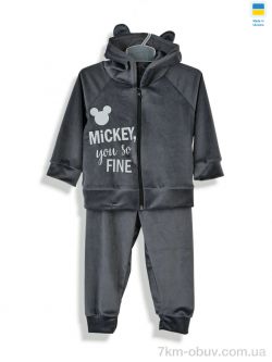 Kir15 183262 сірий фото