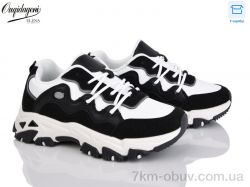 Dageni B887-1 фото