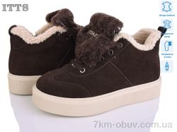 ITTS DD7600-41 фото