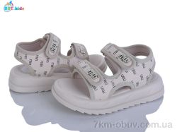 BBT L861-2-2 фото