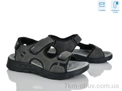 Hongquan F29-3 фото